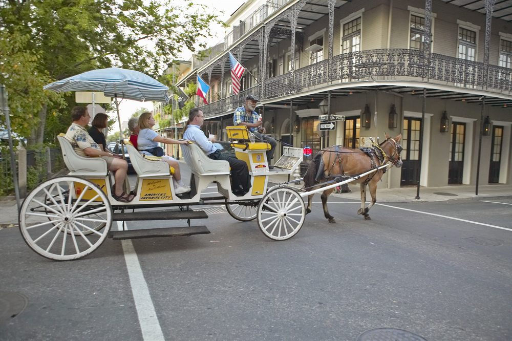 Carriage ride in the French Quarter